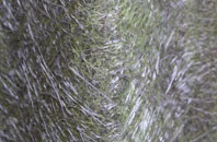 West Broughton fibreglass roof work